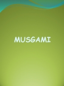 Musgami