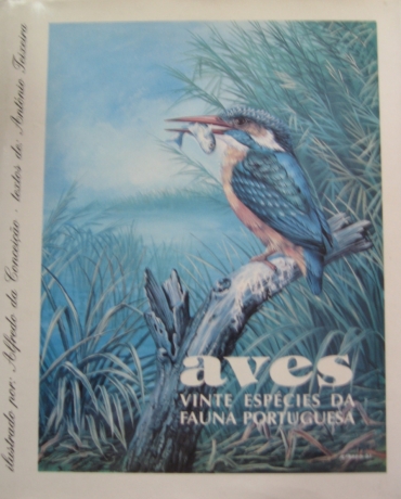 Aves - Vinte Especies Da Fauna  Portuguesa