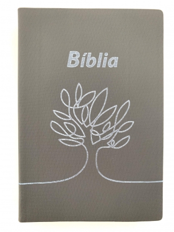 Bíblia Sagrada - Capa Cinzenta Dn052Clm
