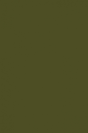 Cartolina A2 Iris Verde Safari 50X65 Vivald-