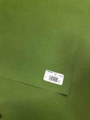 Cartolina A2 Iris Verde Safari 50X65 Vivald-