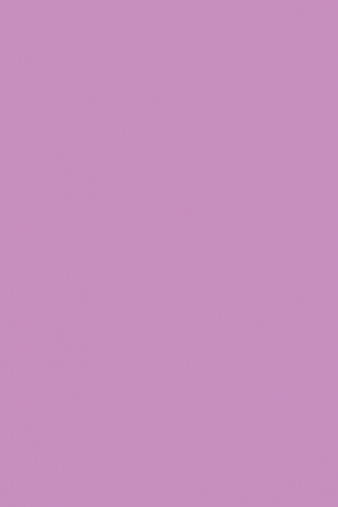 Cartolina A4 Iris Malva 210X297Mm