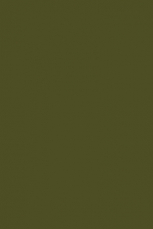 Cartolina A4 Iris Verde Safari 210X297Mm