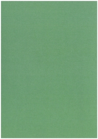 Cartolina A4 \'\'Pearl\'\' Avocado 220G