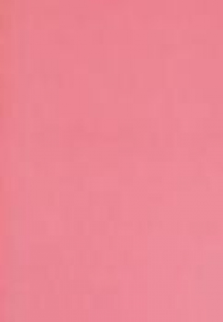 Cartolina A4 \'\'Pearl\'\' Flamingo 220G