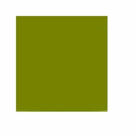 Cartolina A4 \'\'Pearl\'\' Kiwi 220G