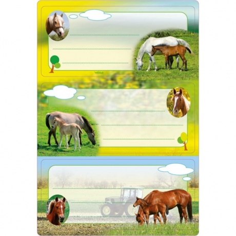 Etiquetas Cavalos - Purpurinas