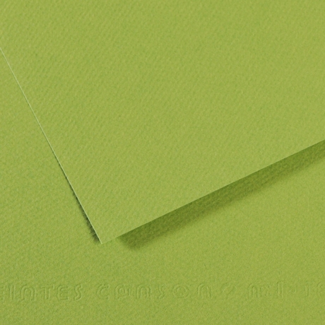 Papel Mi-Teintes Vert Pomme 160G 50X65 Cor