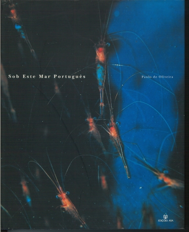 Sob Este Mar Português